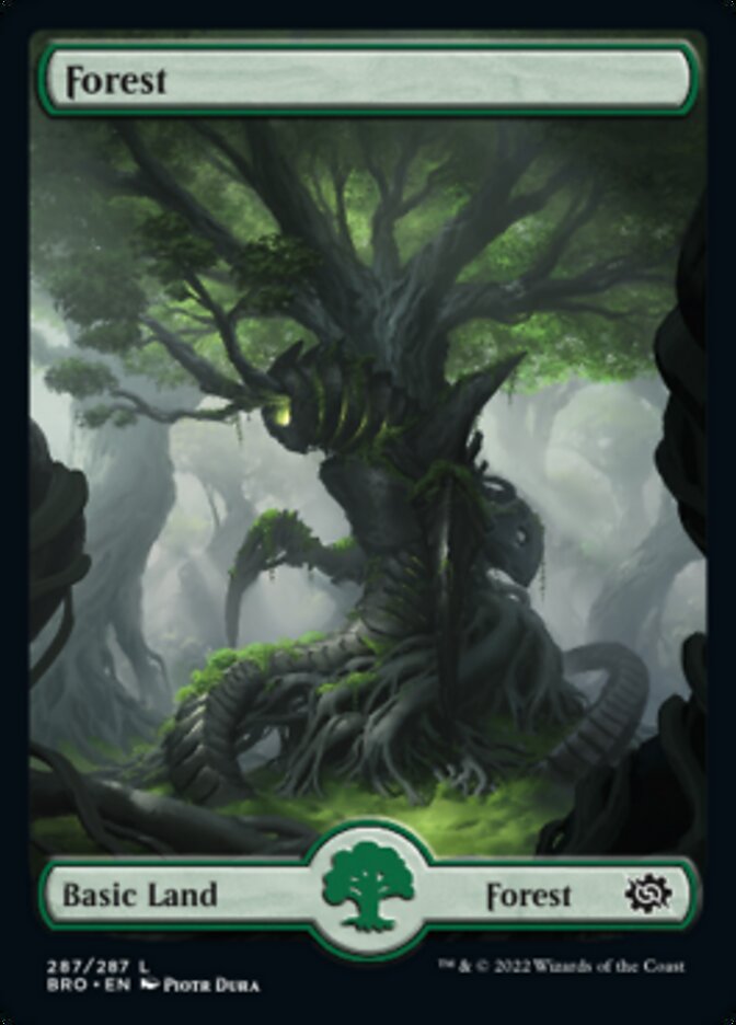 Forest (287) [The Brothers' War] | Card Citadel