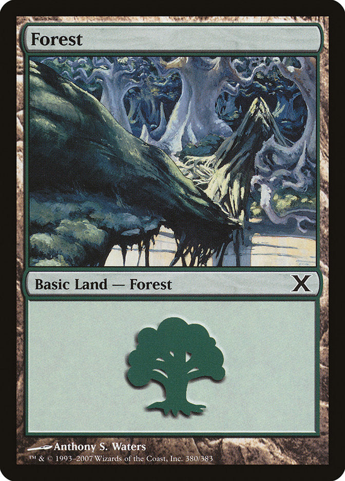 Forest (380) [Tenth Edition] | Card Citadel