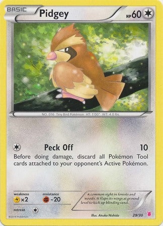 Pidgey (29/30) [XY: Trainer Kit 1 - Wigglytuff] | Card Citadel