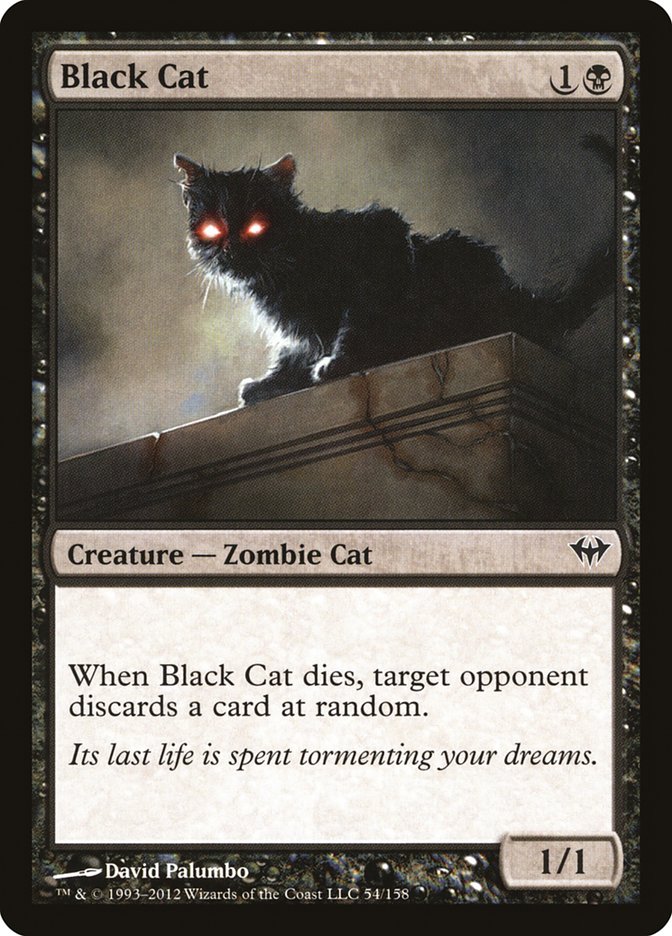 Black Cat [Dark Ascension] | Card Citadel