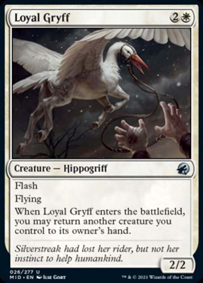 Loyal Gryff [Innistrad: Midnight Hunt] | Card Citadel