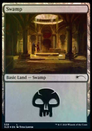 Swamp (Rogues) (559) [Secret Lair Drop Promos] | Card Citadel
