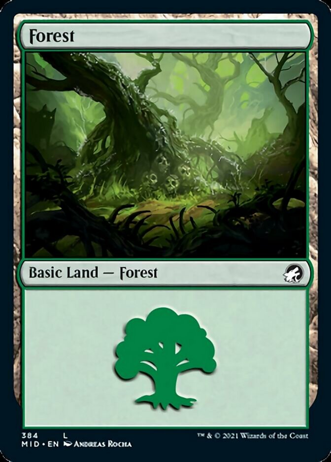 Forest (384) [Innistrad: Midnight Hunt] | Card Citadel