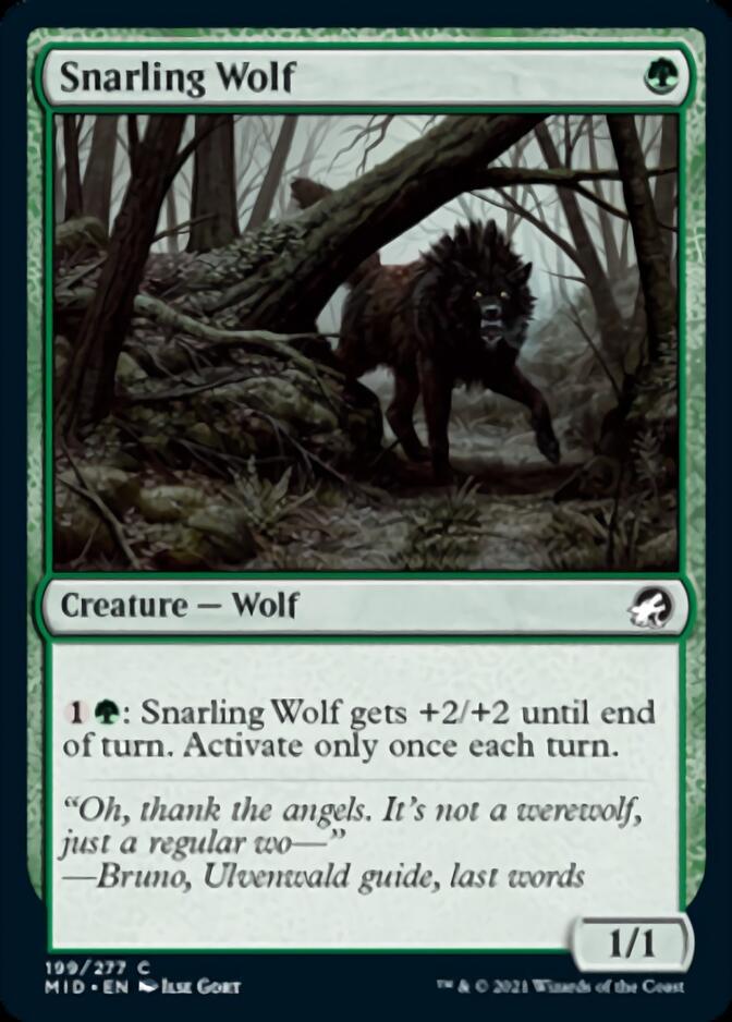 Snarling Wolf [Innistrad: Midnight Hunt] | Card Citadel