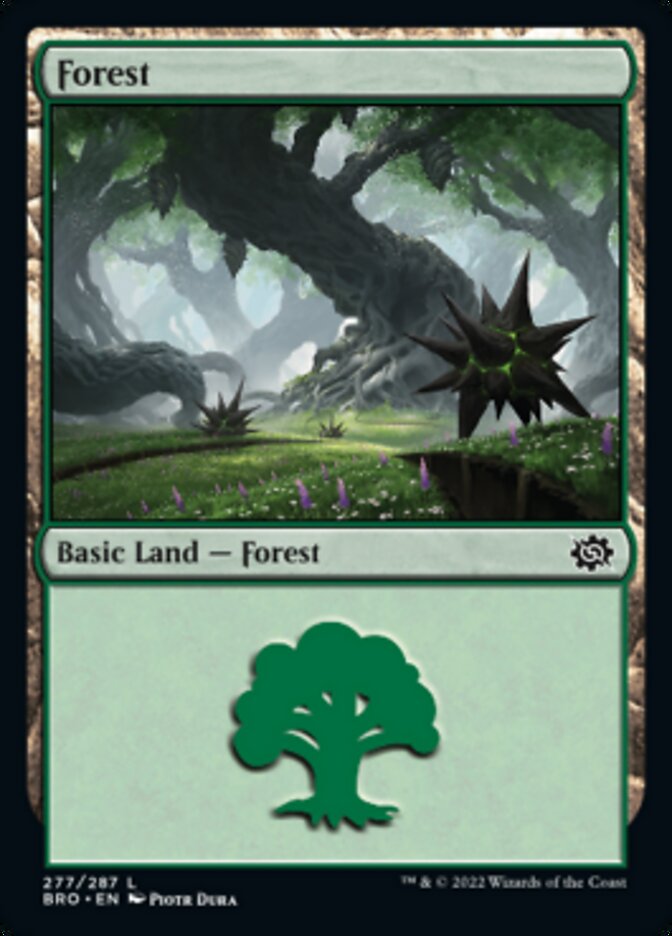 Forest (277) [The Brothers' War] | Card Citadel