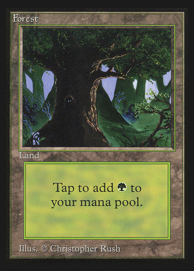 Forest (Eyes)(IE) [Intl. Collectors’ Edition] | Card Citadel
