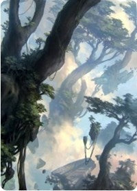 Forest 1 Art Card [Zendikar Rising Art Series] | Card Citadel